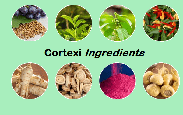 Cortexi Ingredients