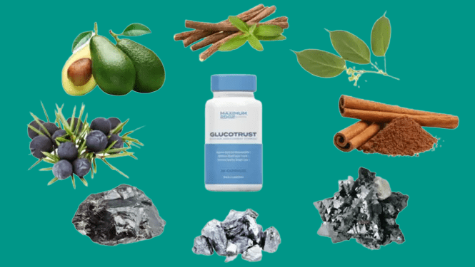 Glucotrust supplement ingredients